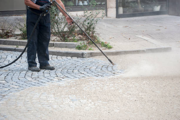 Best Fence Cleaning  in Montour Falls, NY